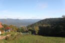 Vue depuis Muckenbach